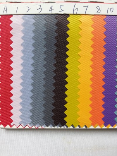 DG-BICG BC-2301 PL  背囊面料 側面照